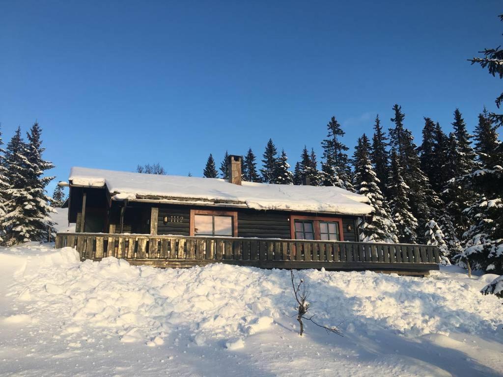 Centrally Located Cottage At Sjusjoen Ski Center Екстер'єр фото
